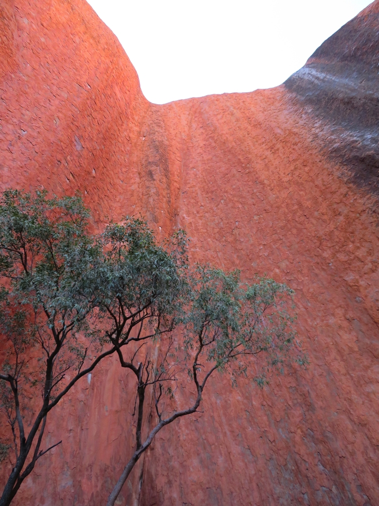 Uluru - it's a very interesting rock.