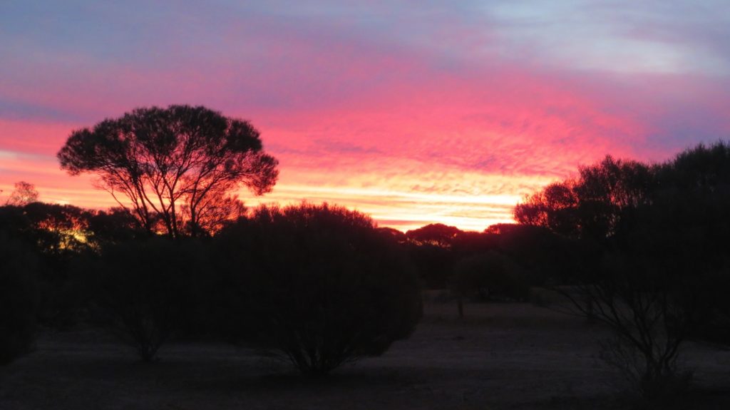 Beautiful sunset from campsite at Mt Magnet.