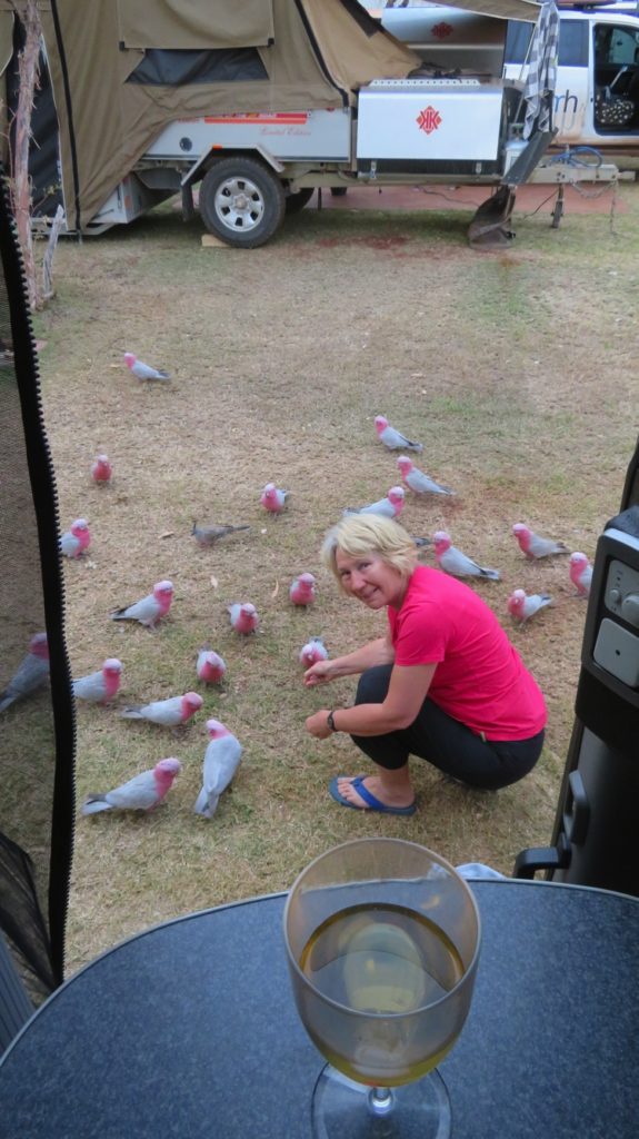 The bird lady - at Tom Price caravan park