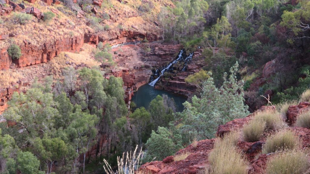 Fortescue Falls and pool, as seen from the walk down into Dales Gorge.