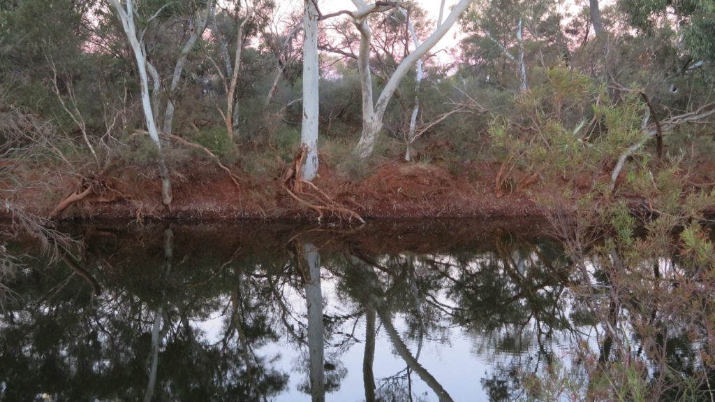 Reflections in the Gascoyne River from our campsite.